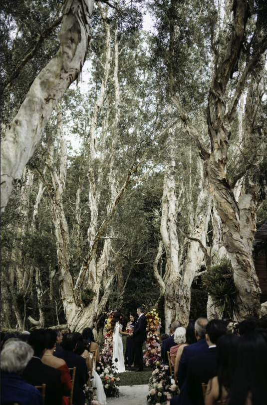 Captura de pantalla 2025-08-04 144206